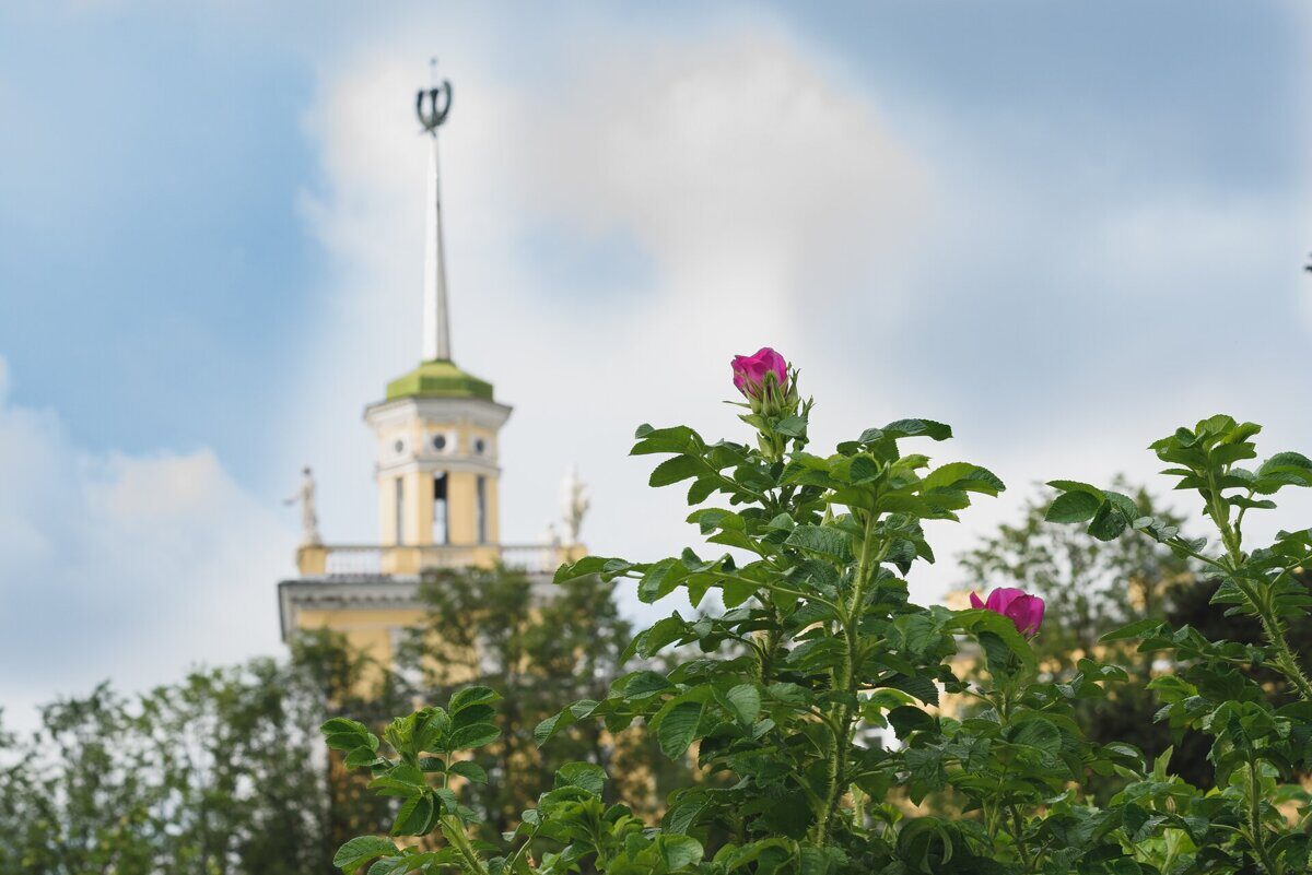 Муниципальные программы